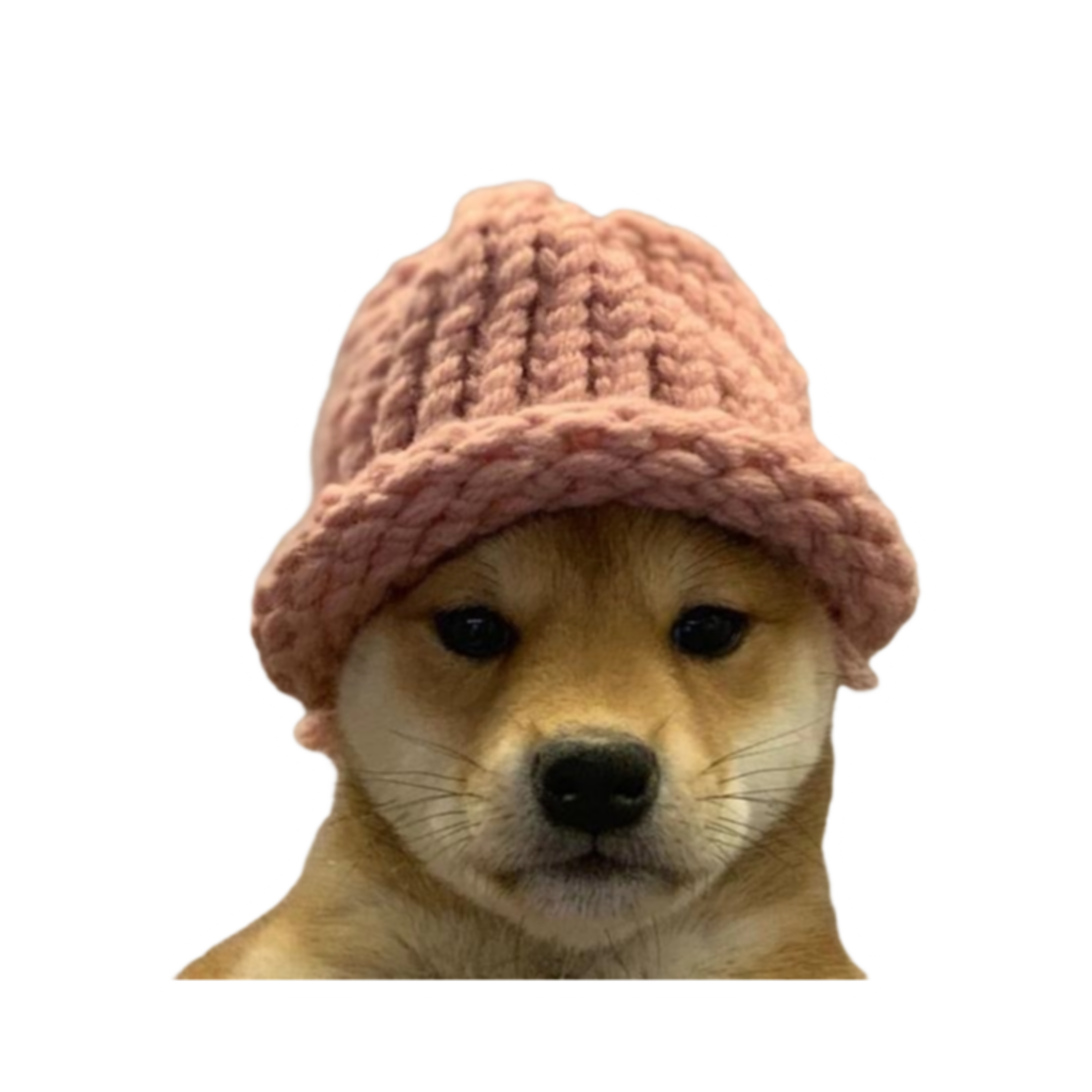 Dogwifhat